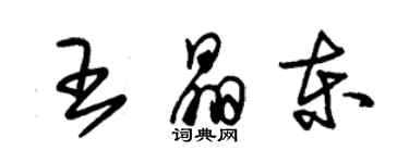 朱錫榮王晶東草書個性簽名怎么寫