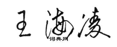 駱恆光王海凌草書個性簽名怎么寫