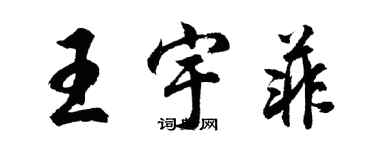 胡問遂王宇菲行書個性簽名怎么寫