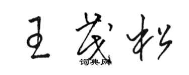 駱恆光王茂松草書個性簽名怎么寫