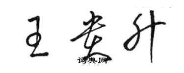 駱恆光王貴升草書個性簽名怎么寫