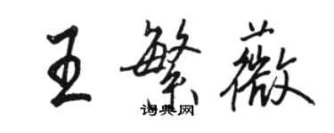 駱恆光王繁薇行書個性簽名怎么寫