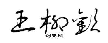曾慶福王柳歡草書個性簽名怎么寫