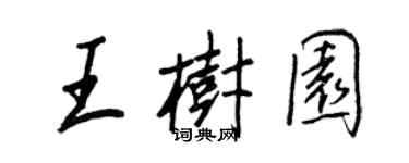 王正良王樹園行書個性簽名怎么寫