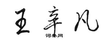 駱恆光王辛凡行書個性簽名怎么寫