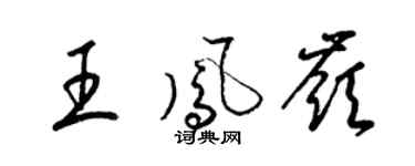 梁錦英王鳳嶺草書個性簽名怎么寫
