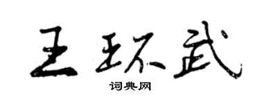曾慶福王環武行書個性簽名怎么寫