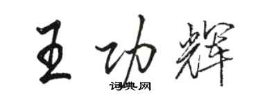 駱恆光王功輝行書個性簽名怎么寫