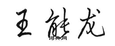 駱恆光王能龍行書個性簽名怎么寫