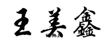 胡問遂王美鑫行書個性簽名怎么寫