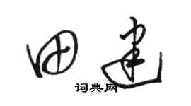 駱恆光田建草書個性簽名怎么寫