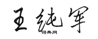 駱恆光王純軍行書個性簽名怎么寫
