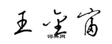 梁錦英王金富草書個性簽名怎么寫