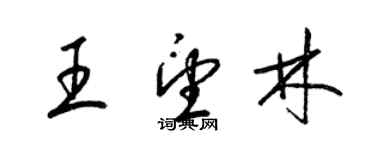 梁錦英王望林草書個性簽名怎么寫