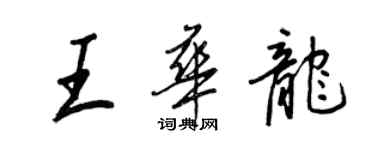 王正良王華龍行書個性簽名怎么寫