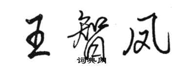 駱恆光王智鳳行書個性簽名怎么寫