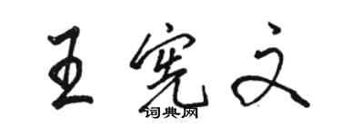 駱恆光王憲文行書個性簽名怎么寫