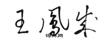 駱恆光王鳳成草書個性簽名怎么寫