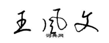 梁錦英王風文草書個性簽名怎么寫