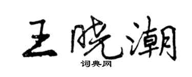曾慶福王曉潮行書個性簽名怎么寫