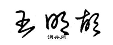 朱錫榮王明胡草書個性簽名怎么寫