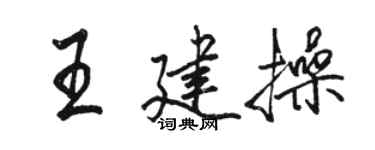 駱恆光王建操行書個性簽名怎么寫