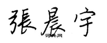 王正良張晨宇行書個性簽名怎么寫