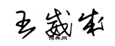 朱錫榮王威成草書個性簽名怎么寫
