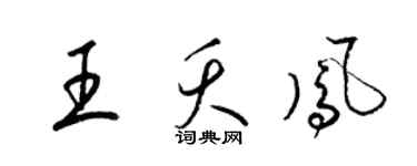 梁錦英王夭鳳草書個性簽名怎么寫