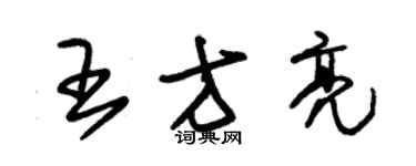 朱錫榮王方亮草書個性簽名怎么寫