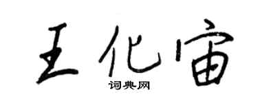 王正良王化宙行書個性簽名怎么寫