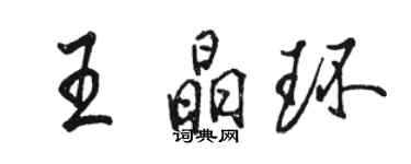 駱恆光王晶環行書個性簽名怎么寫