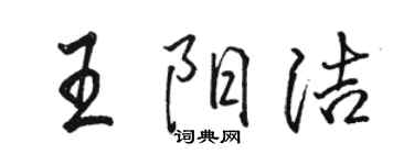 駱恆光王陽潔行書個性簽名怎么寫