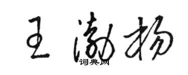 駱恆光王渤楊草書個性簽名怎么寫