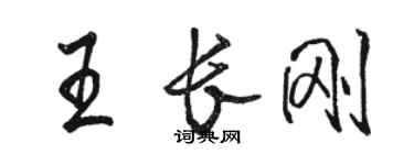 駱恆光王長剛行書個性簽名怎么寫