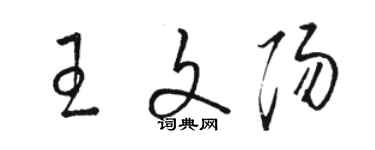 駱恆光王文陽草書個性簽名怎么寫