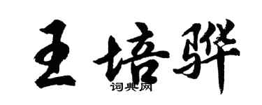 胡問遂王培驊行書個性簽名怎么寫