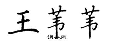 丁謙王葦葦楷書個性簽名怎么寫