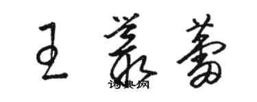 駱恆光王叢蕾草書個性簽名怎么寫