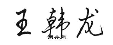 駱恆光王韓龍行書個性簽名怎么寫