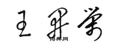 駱恆光王開榮草書個性簽名怎么寫