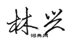 駱恆光林興行書個性簽名怎么寫