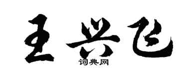 胡問遂王興飛行書個性簽名怎么寫
