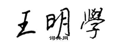 王正良王明學行書個性簽名怎么寫