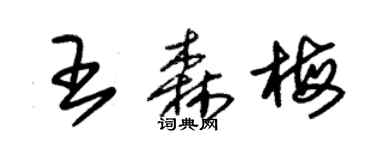 朱錫榮王森梅草書個性簽名怎么寫