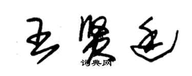 朱錫榮王賢廷草書個性簽名怎么寫