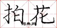 龐中華拍花楷書怎么寫