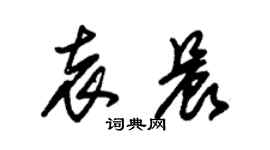 朱錫榮袁晨草書個性簽名怎么寫