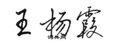 駱恆光王楊霞行書個性簽名怎么寫