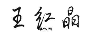 駱恆光王紅晶行書個性簽名怎么寫